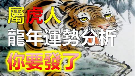 生肖虎幸運色|【屬虎的幸運顏色】屬虎者2024開運大法！幸運色、幸運數字，。